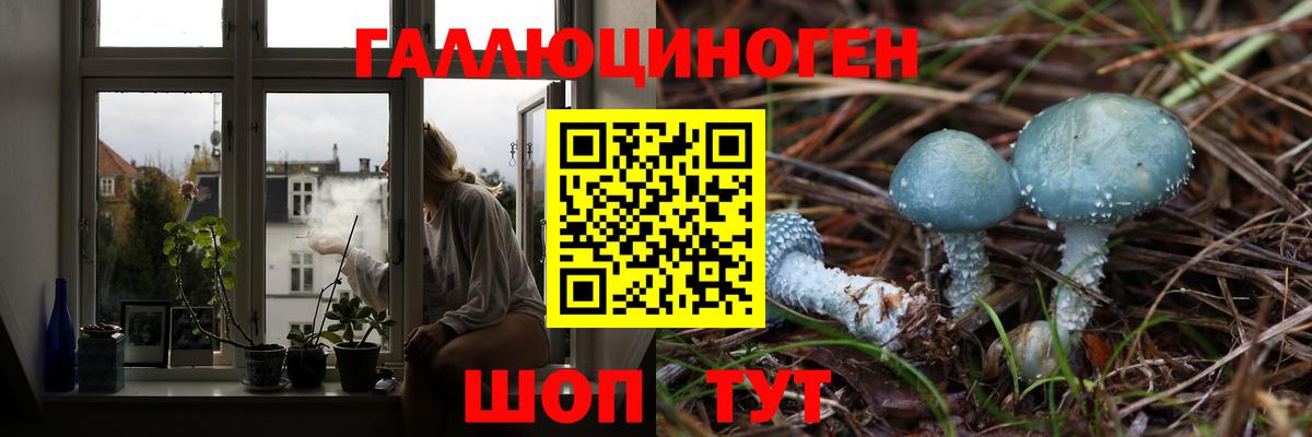 Псилоцибиновые грибы мухоморы  Псилоцибиновые грибы мицелий  Рыбинск  Вход с VPN 